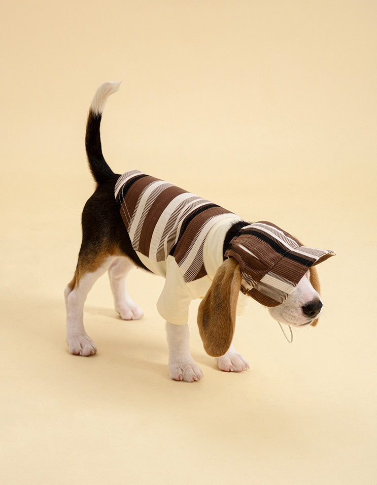 Adjustable spring buckle detail on dog baseball cap for secure and flexible fitting
