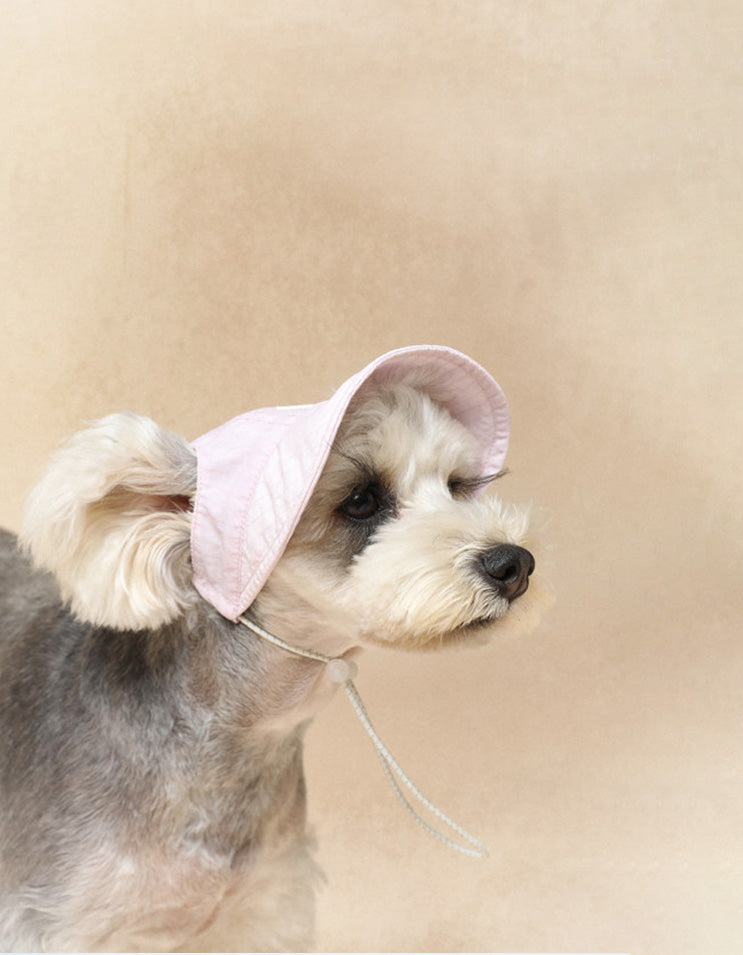 Miniature Schnauzer wearing lightweight waterproof dog cap designed for comfortable summer walks