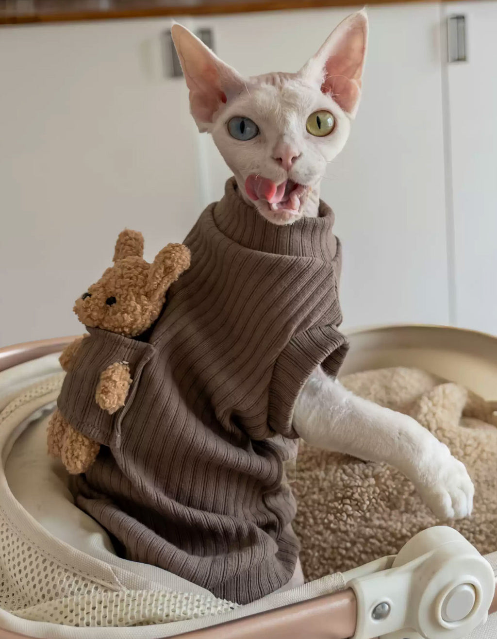 Devon Rex cat wearing a brown cotton sleeveless vest with an adorable bear detail, designed for lightweight warmth and comfortable everyday wear.