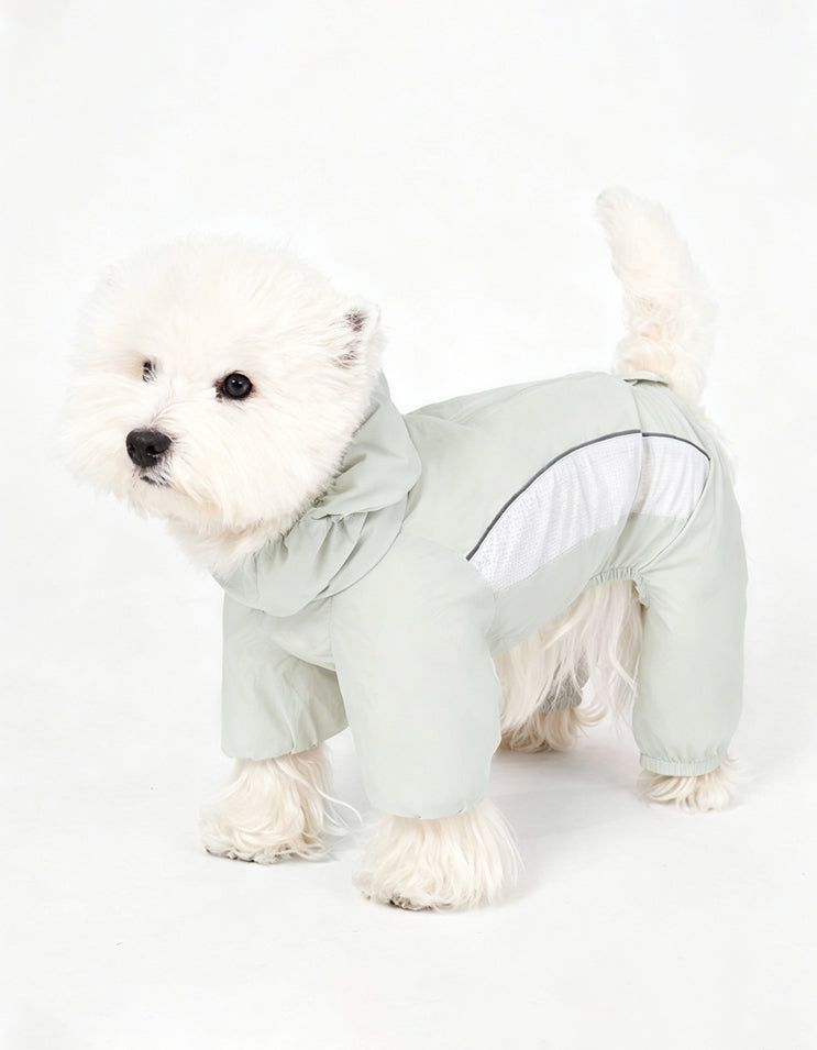 Small dog wearing the CHISUPET Sunveil mint green outdoor dog suit with lightweight four-leg coverage for outdoor sun and splash protection