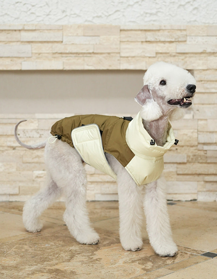 Dog wearing the yellow CHISUPET 80% white duck down vest for lightweight winter protection