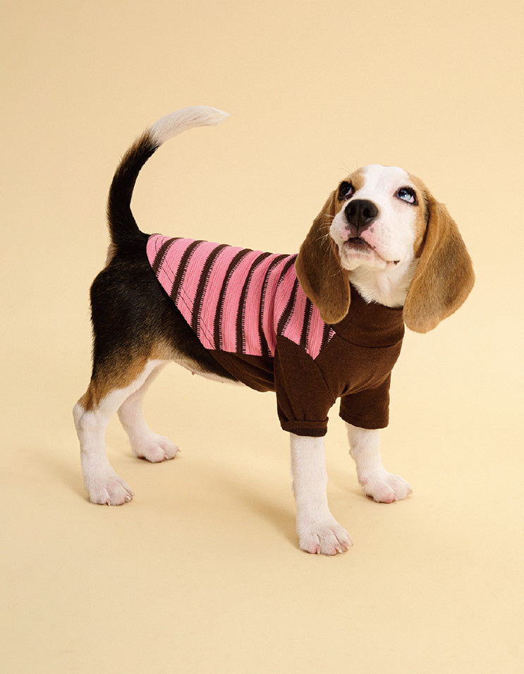 Dog relaxing indoors while wearing soft striped casual T-shirt for daily comfort