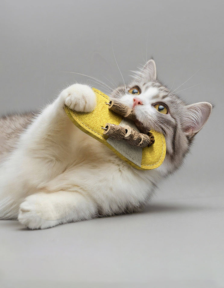 Cat chewing a natural luffa slipper chew toy with silver vine