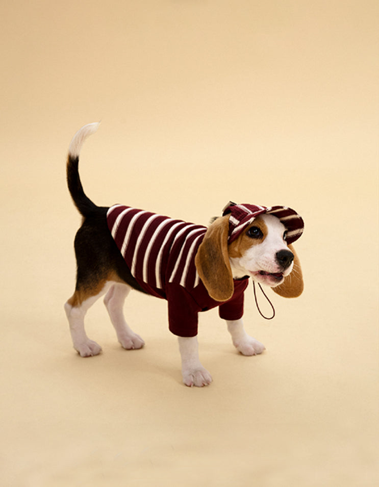 Dog in red striped T-shirt with soft breathable fabric and vintage casual style