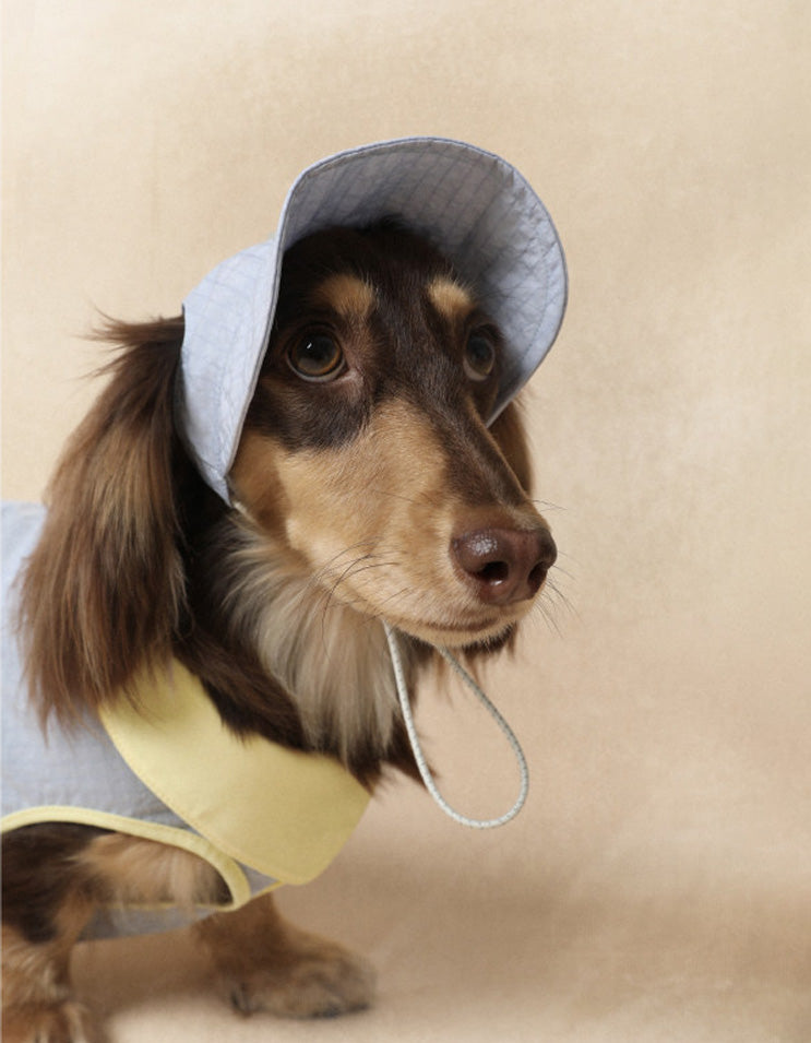 Long-haired dachshund wearing lightweight sun protection hat with streamlined brim design