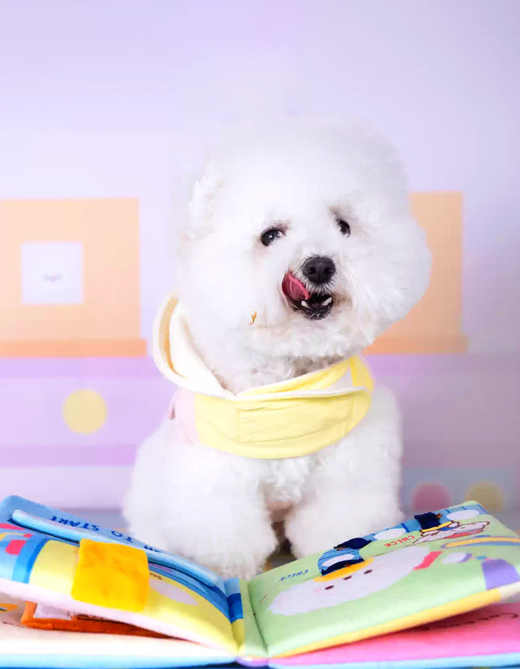 Dog using a snuffle book to sniff and search for hidden treats