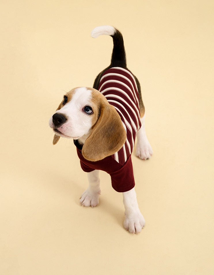 Close-up of soft stretchy striped fabric used in dog T-shirt for comfortable daily wear
