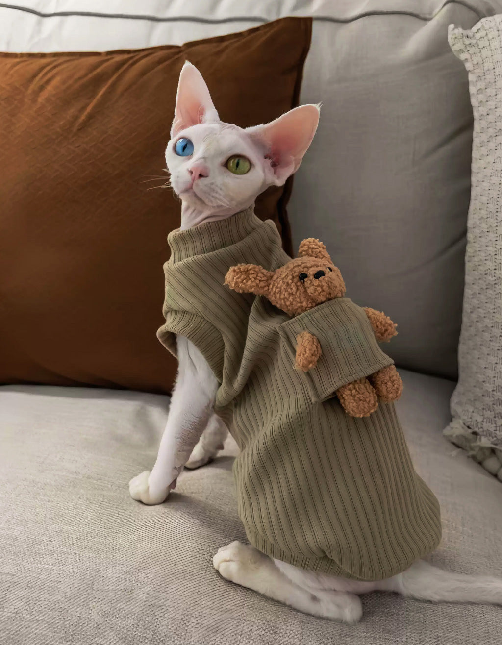 Devon Rex cat modeling the green CHISUPET sleeveless vest, showcasing its comfortable fit and freedom of movement.