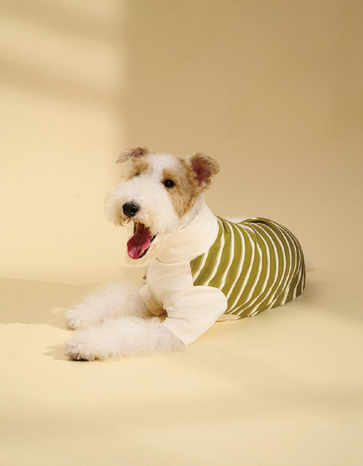 Stretchable striped dog shirt designed for flexible movement without tightness