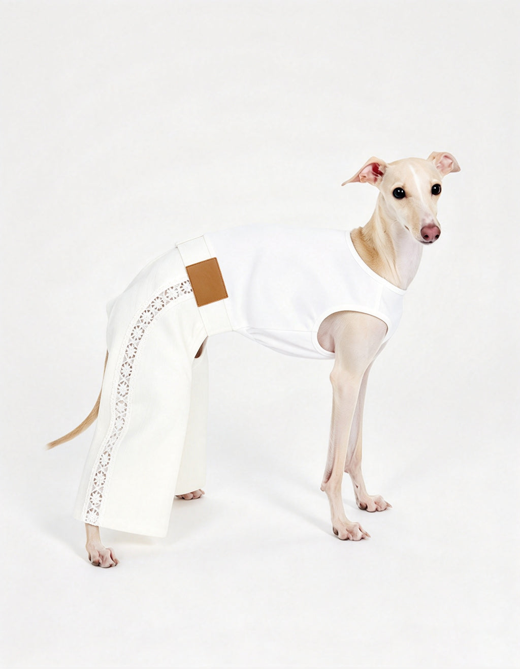 Small dog wearing elegant white lace romper with soft silhouette design for stylish pet fashion