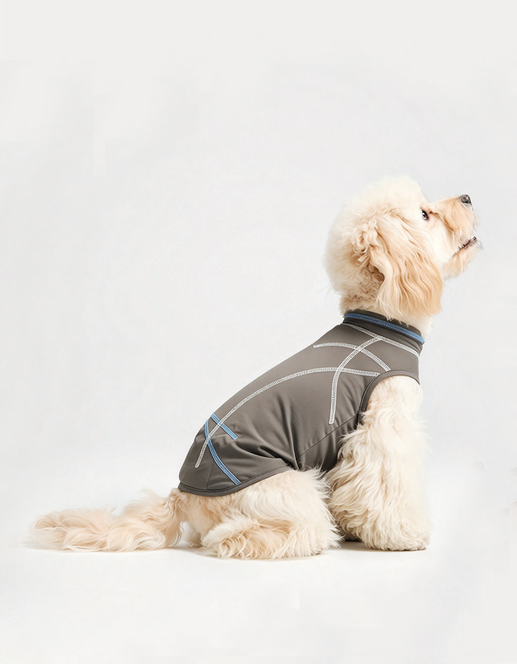 Puppy dressed in a quick-dry cooling shirt, ideal for warm weather and outdoor activities