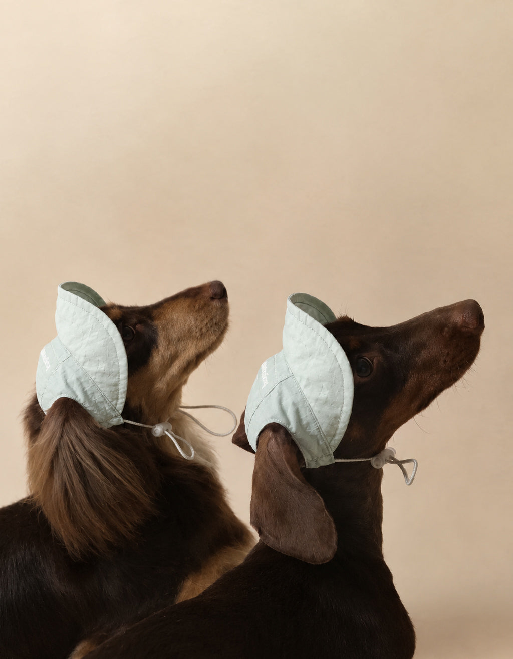Long-haired dog wearing lightweight adjustable sun hat designed for breathable outdoor protection