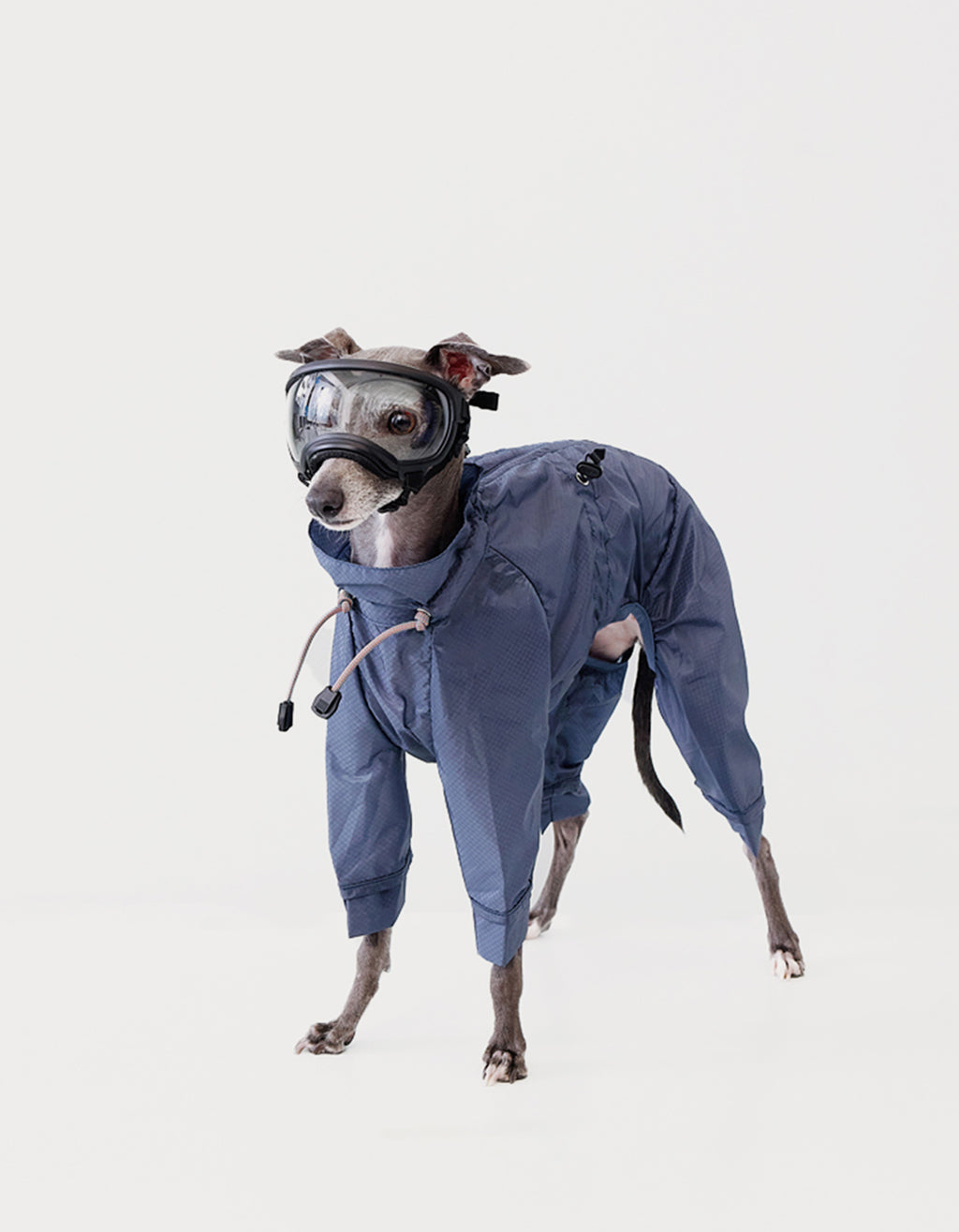 Blue CHISU AeroShield dog rain shell made from ultra-light nylon for outdoor weather protection.