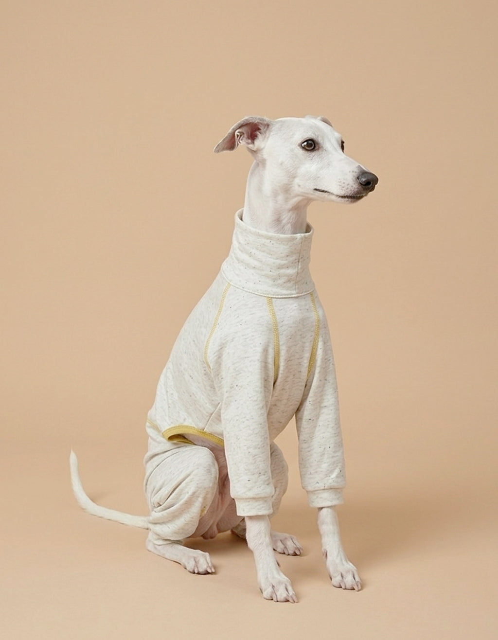 Whippet wearing a lightweight LinenAir dog shirt made with a 25% linen and 75% polyester blend for breathable all season comfort.