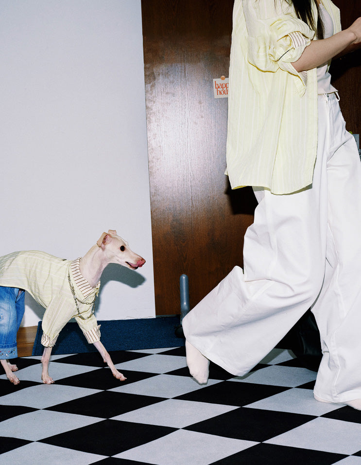 Coordinated denim shirt set for dogs and owners with relaxed comfortable fit