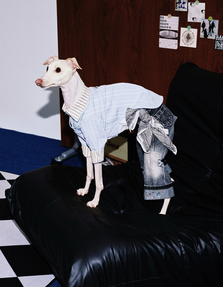 Dog and owner wearing matching cream yellow denim shirts in cozy companion style