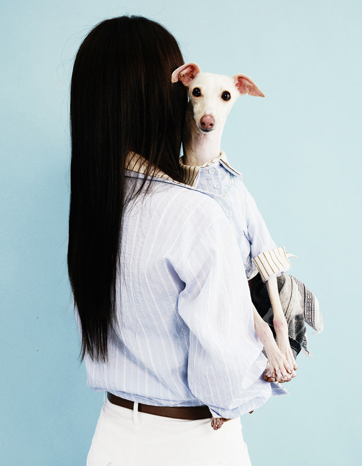Pet owner and dog in coordinated denim shirts for casual daily outings together