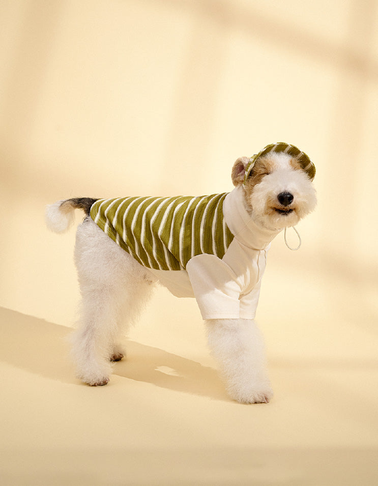 Dog in green striped T-shirt with soft stretch fabric and playful preppy look