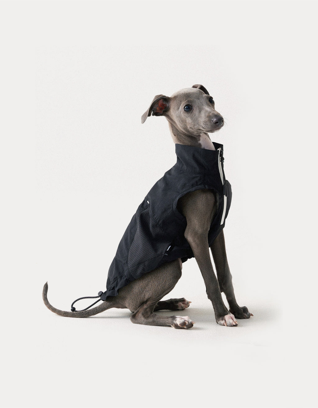 Black lightweight dog vest with UPF50+ sun protection and breathable design for summer outdoor wear