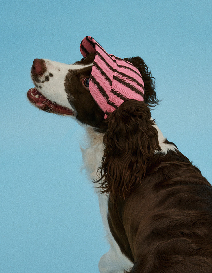 Pink striped dog baseball cap with soft stretch fabric and relaxed sporty look