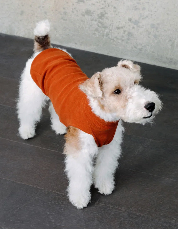 Flexible dog base layer vest with extended belly coverage, anti-static odor-resistant fabric for year-round comfort