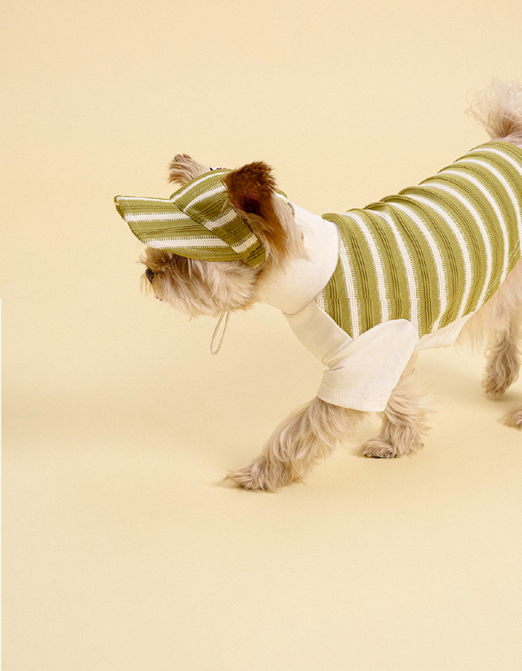 Dog wearing striped baseball hat with breathable knit fabric and casual sporty style