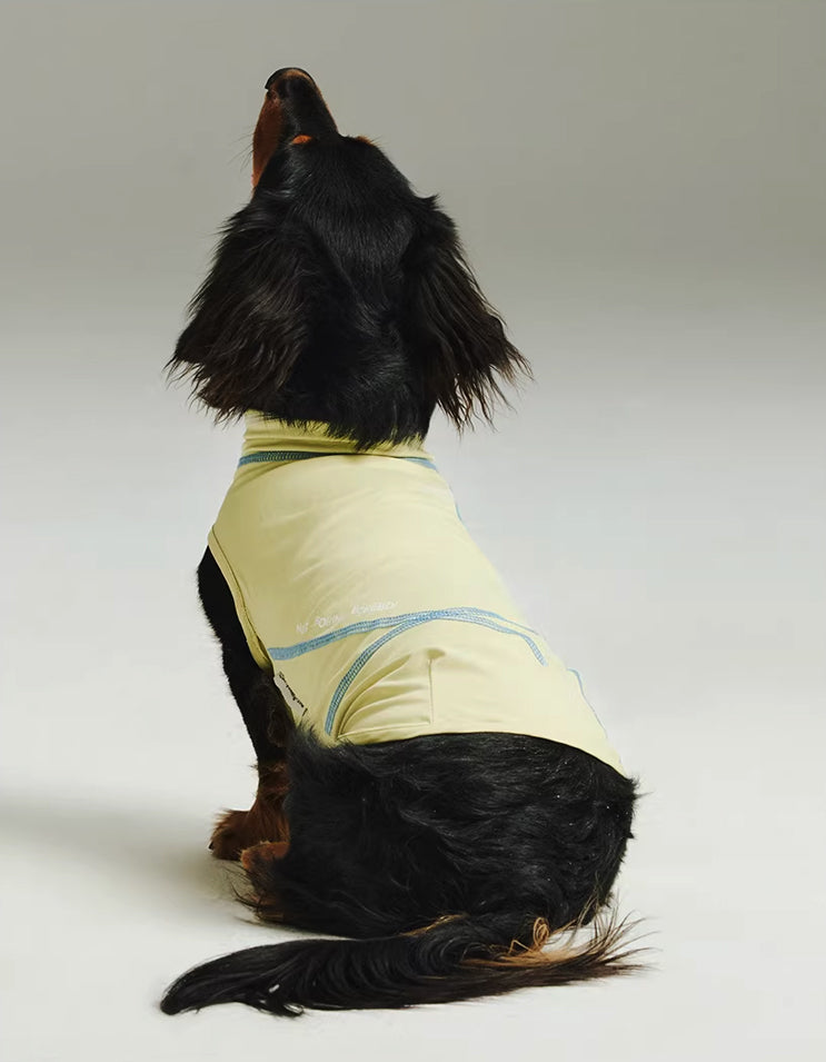 Small dog in a lightweight quick-dry tank top, perfect for summer heat and daily wear