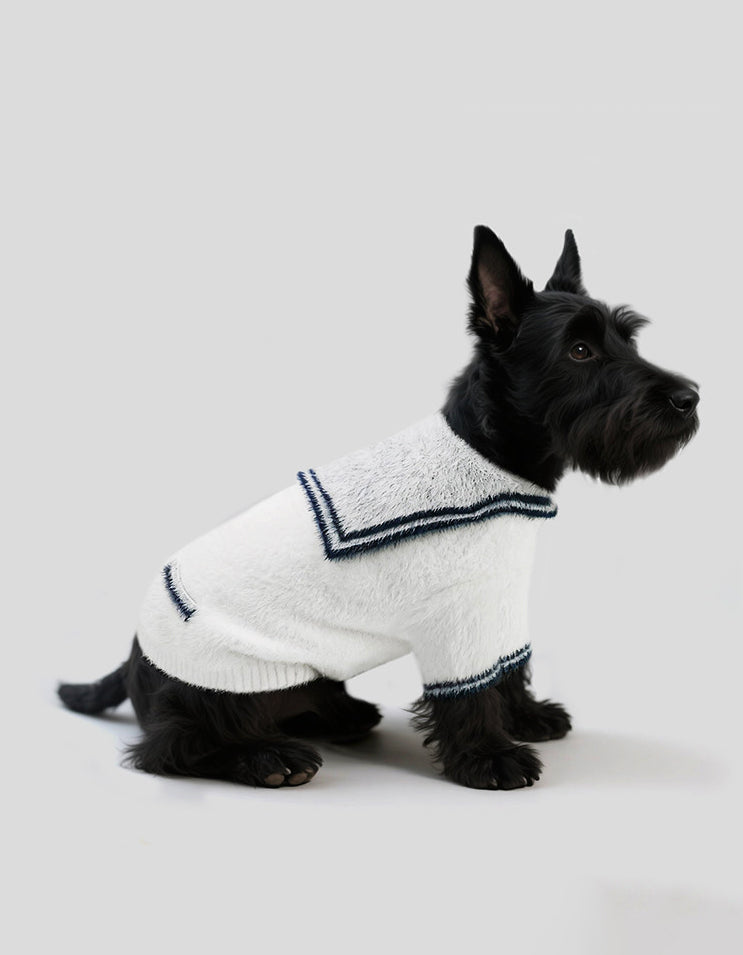 Small dog wearing a white mink knit sailor cardigan for warm autumn and winter walks
