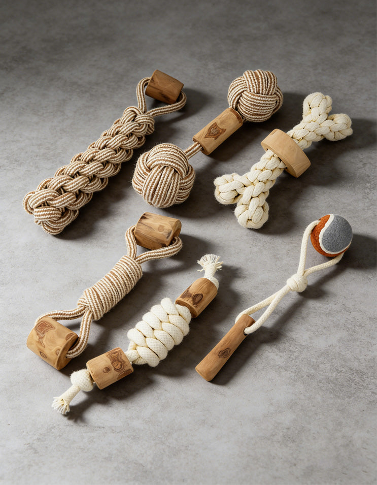Flat lay of eco-friendly dog toys made from coffee wood cotton rope and tennis ball materials