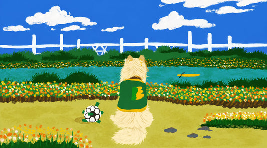 Dog wearing protective running boots and a cooling vest while walking on hot summer pavement, illustrating heat protection and outdoor safety for dogs in extreme temperatures.