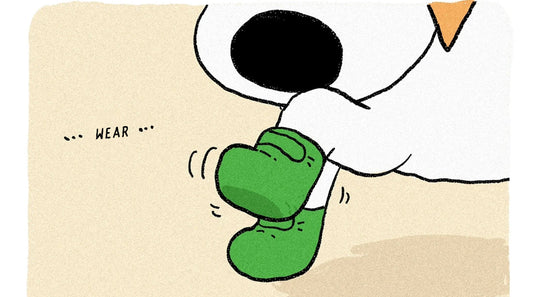 Dog Wearing All-Season Outdoor Boots Illustration