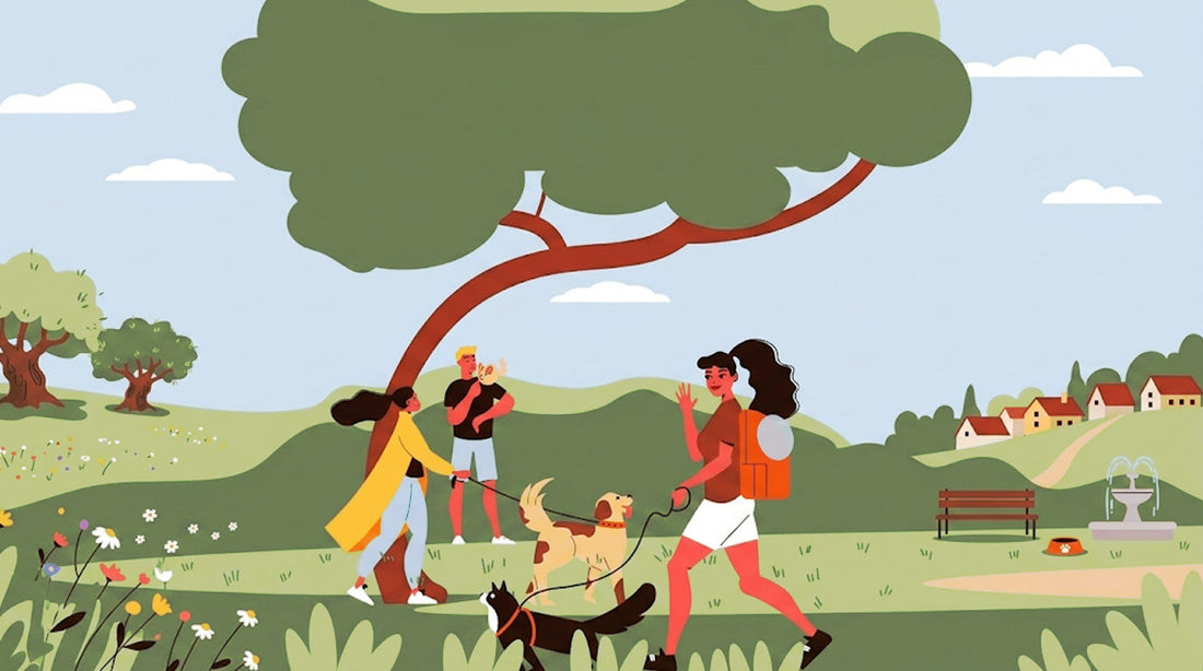 The Outdoor Protection Guide Every Active Dog Needs