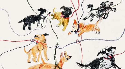 Why Traditional Retractable Leashes are Scaring Your Cat or Puppy? How to Fix It?
