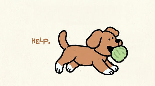 Minimalist dog illustration biting a chew toy with HELP text; a guide to indestructible dog toys vs mass-market failure.