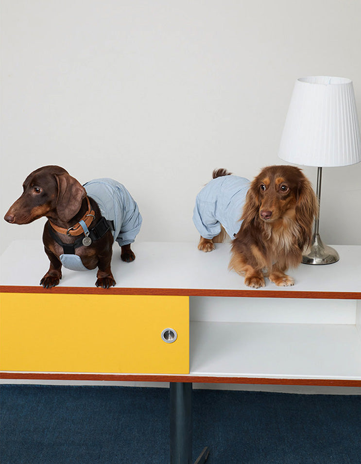 CHISU SunTrail coveralls combining lightweight comfort and outdoor protection for dogs.