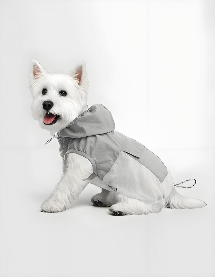 Dog wearing ultra-light hooded cooling vest, breathable and UV-protective summer pet clothing