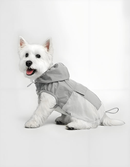 Dog wearing ultra-light hooded cooling vest, breathable and UV-protective summer pet clothing