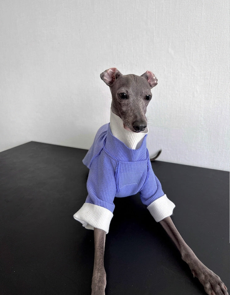 Breathable cotton dog shirt for indoor air conditioning protection and warmth