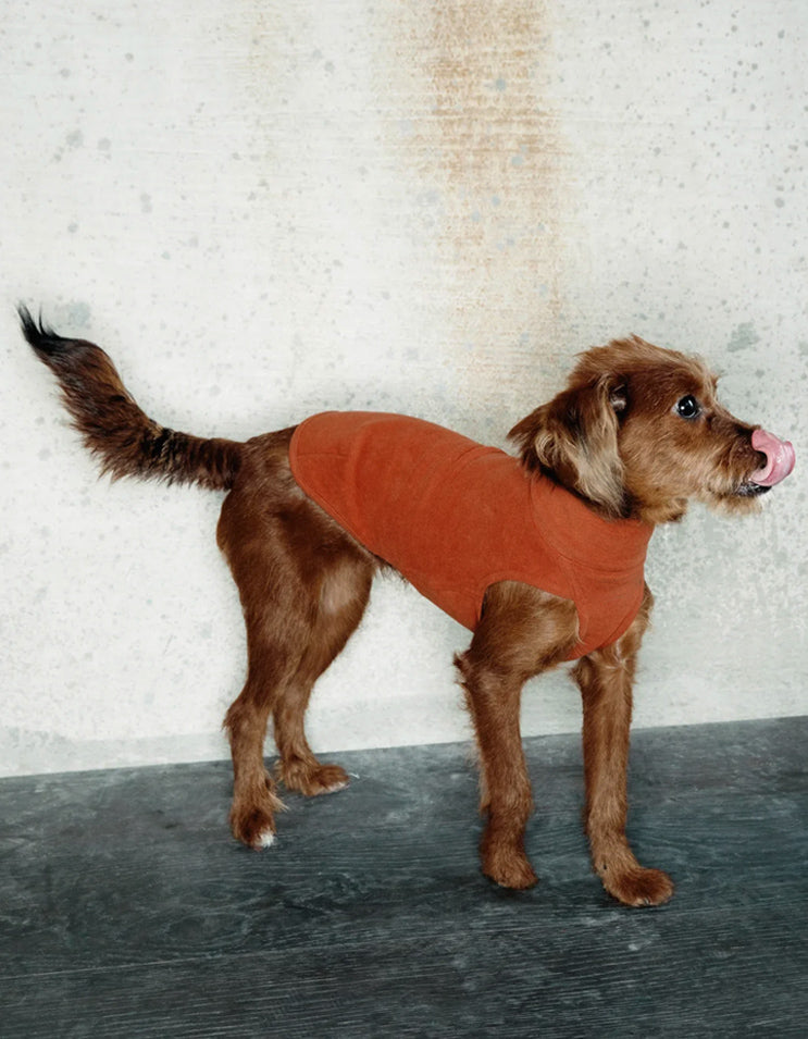 Red clay anti-static stretch dog belly vest with full belly coverage, lightweight warm pet base layer for small dogs