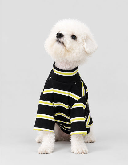 Bichon Frise wearing the CHISUPET Dark Green Striped Knit Dog Shirt, made from 100% 10-ply cotton yarn with a soft, breathable knit and classic dark green and black stripes.