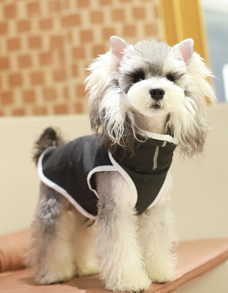 A small dog wearing a black CHISU SilkCash turtleneck vest during an outdoor walk in cold weather.