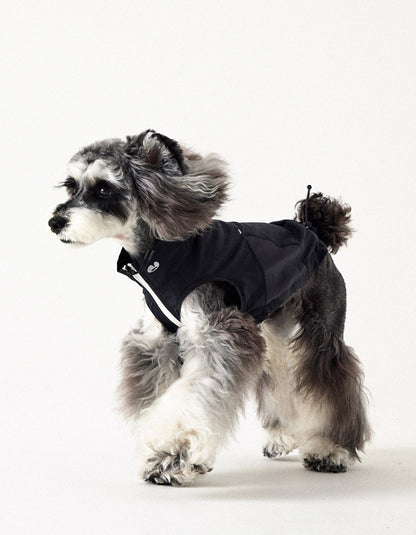 Small dog in breathable mesh vest with lightweight fabric for summer comfort