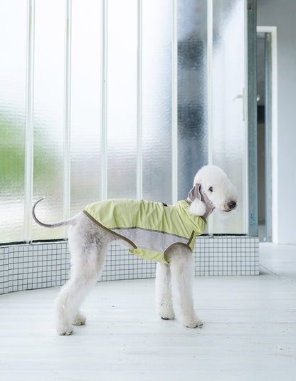 Dog wearing mesh cooling shirt with ventilation holes for airflow and moisture control
