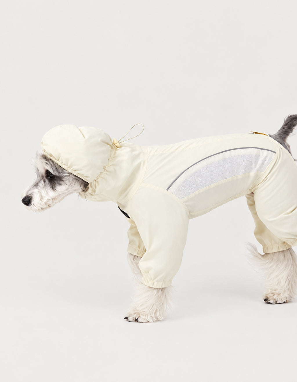 Small dog modeling the CHISUPET Sunveil butter yellow dog suit made with lightweight UPF 50+ fabric for outdoor sun protection