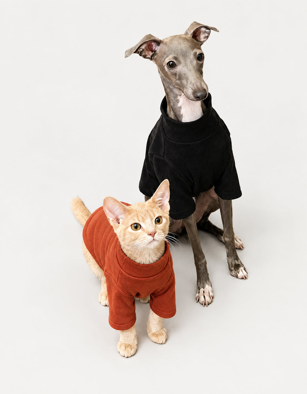 Soft antibacterial thermal base layer for dogs and cats. Designed for short-haired breeds, Italian Greyhounds, Sphynx, Devon Rex, and everyday winter warmth.