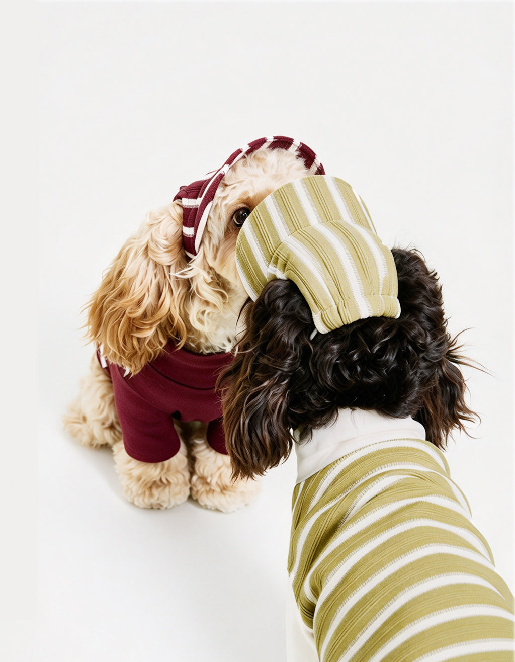 Lightweight striped dog baseball cap with adjustable fit and ear-opening design. Preppy sun protection style for daily outdoor wear.