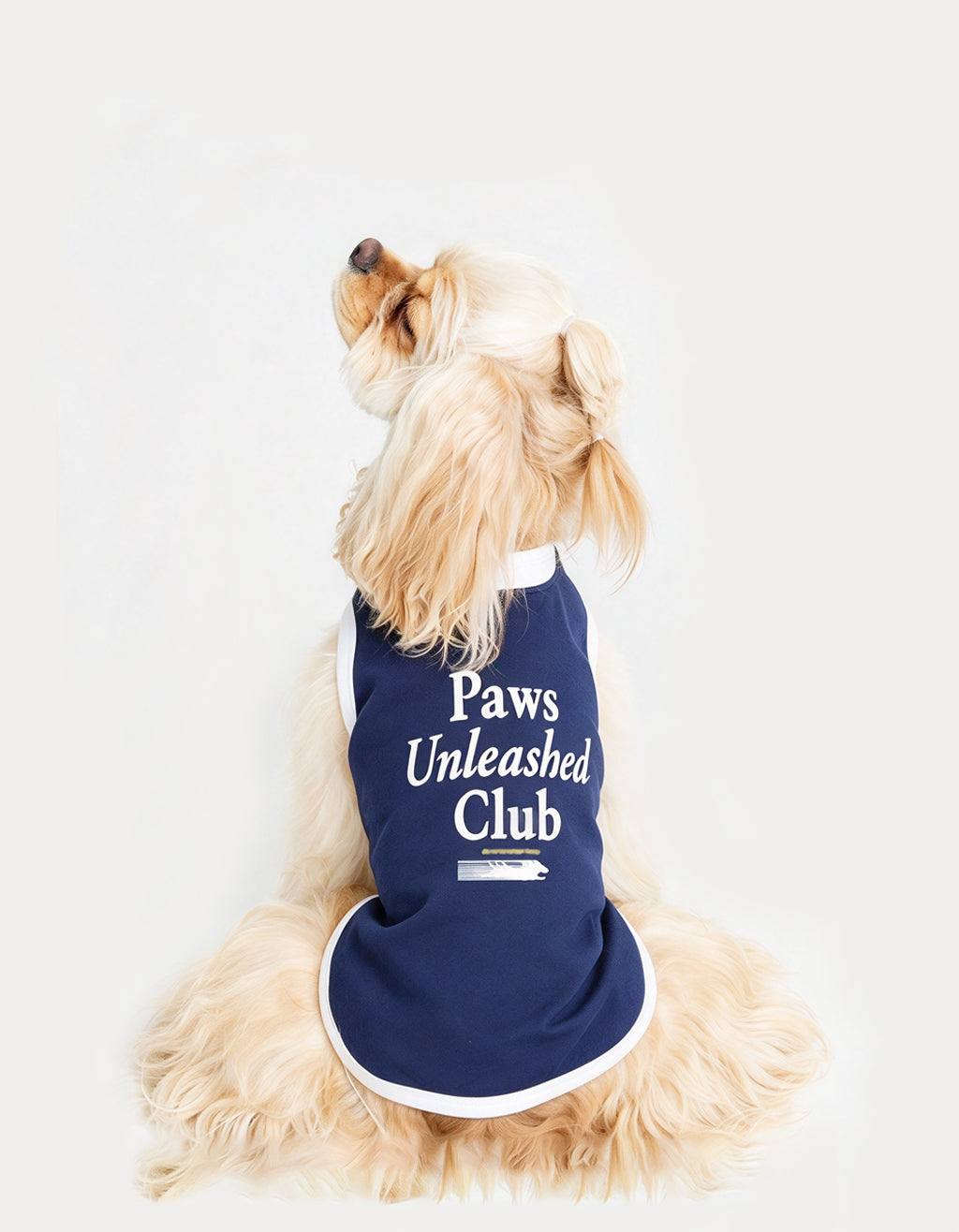 Group of dogs wearing CHISUPET CoolBreeze cooling vests highlighting soft breathable fabric and everyday summer wearability.