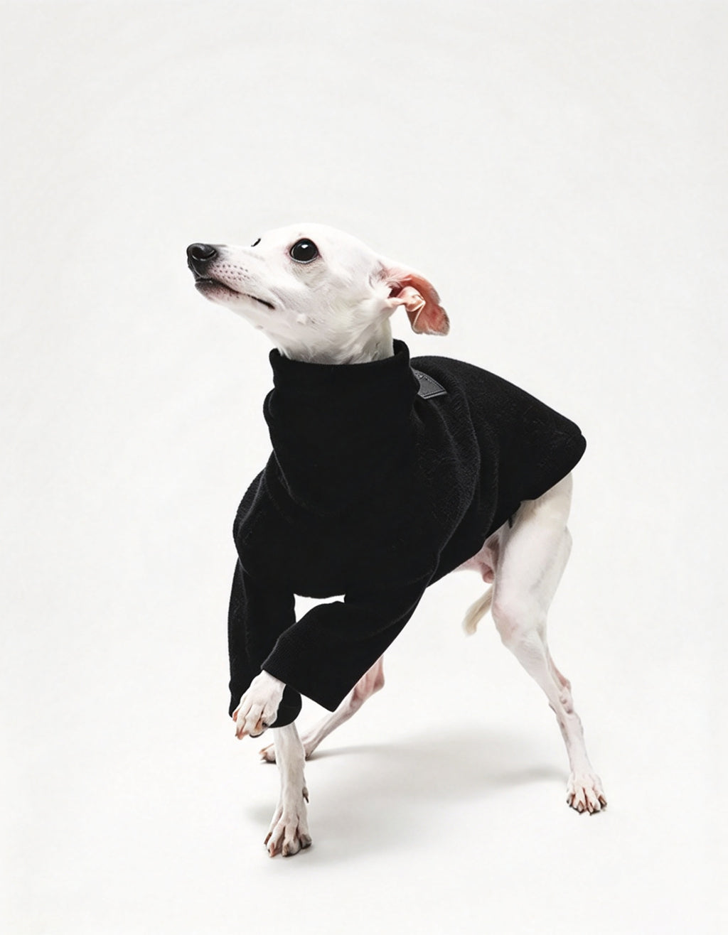 Dual-layer 330g sherpa fleece dog zip suit with soft modal collar and side zipper design. Warm, structured winter outfit for comfort, durability, and easy wear.