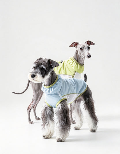 Two dogs waring  the CHISUPET LimeBreeze Cooling Vest. 85gsm ultra-light fabric, UPF 50+ UV protection, micro-ventilation for hot summer days. Barely-there feel.