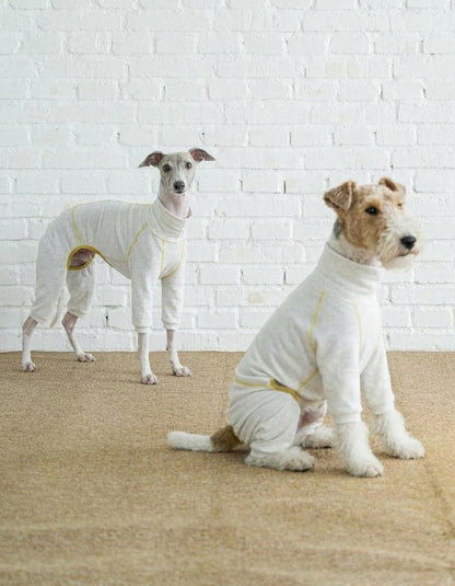CHISUPET LinenAir summer dog shirts worn by a Whippet and a Wire Fox Terrier together, showcasing lightweight, breathable dog apparel designed for comfortable everyday wear.